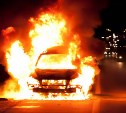 Грузовой автомобиль загорелся на дороге в Невельском районе