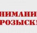 Пропавшего мужчину из областного центра разыскивают на Сахалине