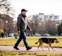 В Южно-Сахалинске проверили, насколько культурно жители областного центра выгуливают питомцев