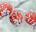  Небольшой снег на севере, дождь - на юге: погода на Сахалине и Курилах в предстоящую неделю