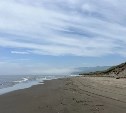 Новую инспекторскую должность ввели для контроля за браконьерами на Сахалине 
