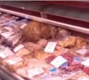 Коту, съевшему морепродуктов на 60 тысяч рублей, грозит опасность