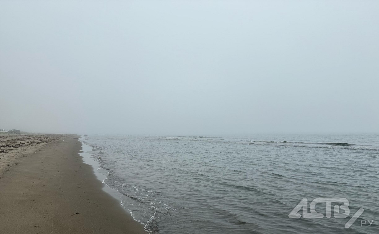 Сильный дождь и до 27°: прогноз погоды для Сахалина на вторник Сильный дождь и до 27°: прогноз погоды для Сахалина на вторник