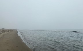 Общество