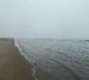 Сильный дождь и до 27°: прогноз погоды для Сахалина на вторник