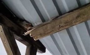 Происшествия