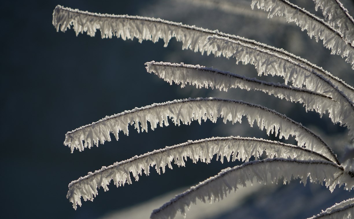 Снег ушёл, пришли морозы до -35°C: погода в Сахалинской области на 14 января