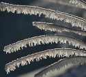 Снег ушёл, пришли морозы до -35°C: погода в Сахалинской области на 14 января