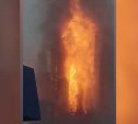 На амурском ГПЗ в небо после взрыва поднялся столб пламени высотой с девятиэтажку