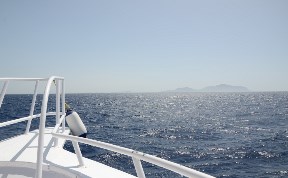 Происшествия