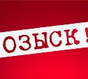 Полиция Южно-Сахалинска разыскивает 25-летнего местного жителя