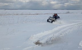 Происшествия