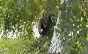 Общество