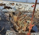 "Сильно горел": сахалинские поисковики откапывают из болота останки американского самолёта