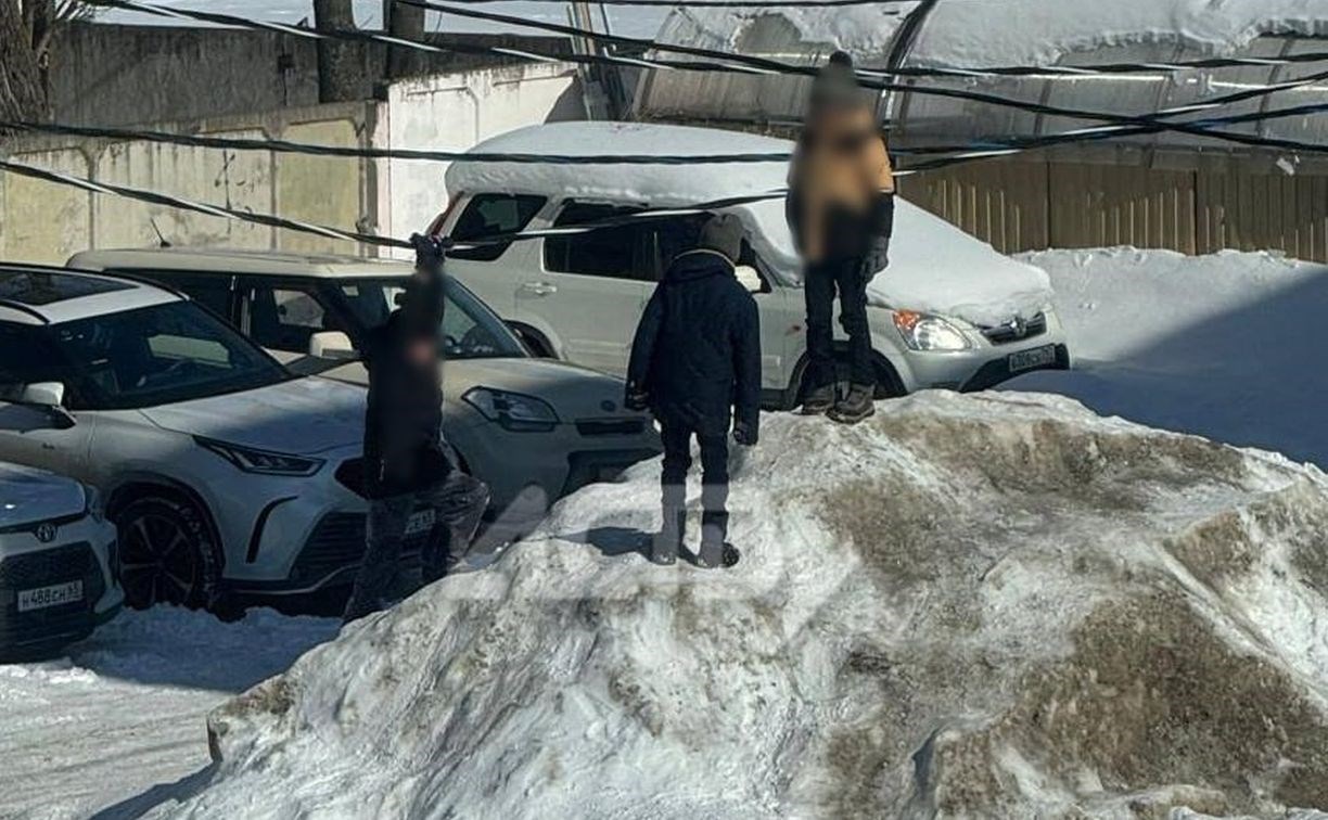 Очевидица: дети в Южно-Сахалинске раскачиваются на проводах, как на качелях