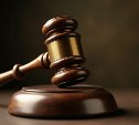 Почти 8 миллионов рублей выплатит Невельскому району мастер, приказавший прорубить дорогу в лесу 