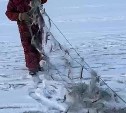 "Вот почему клёв плохой": сахалинские рыбаки сообщают о браконьерах-сеточниках на Буссе