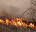 В трех районах Сахалина сгорело много сухой травы, огонь местами подбирался к домам