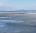 Ледяное "одеяло" в море попало на видео у берегов Сахалина