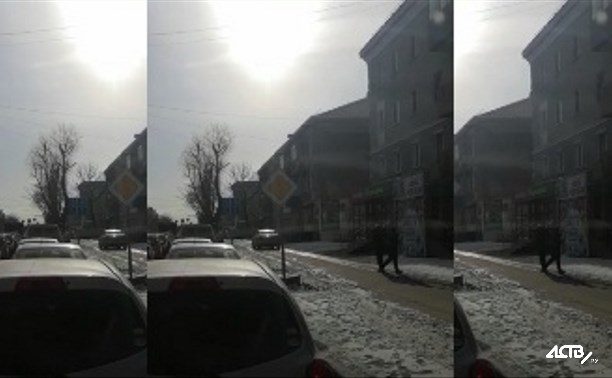 Лихач в Южно-Сахалинске решил объехать пробку по тротуару
