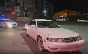 Общество
