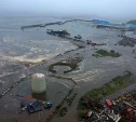 Цунами в Северо-Курильске повредило предприятие "Алаид" и рыборазводный завод