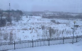 Происшествия