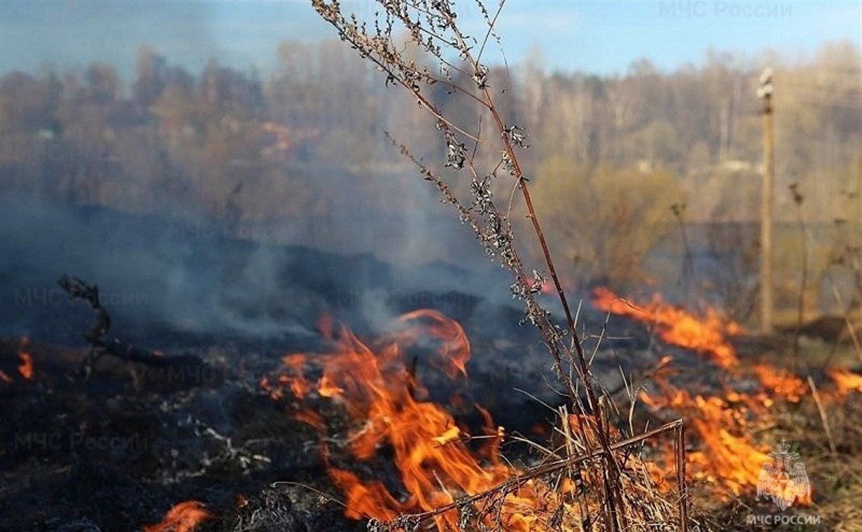 Пожар на кладбище в Охинском районе: огонь охватил 1,5 га