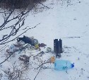 За незаконный сброс мусора южносахалинцы заплатили уже больше миллиона рублей