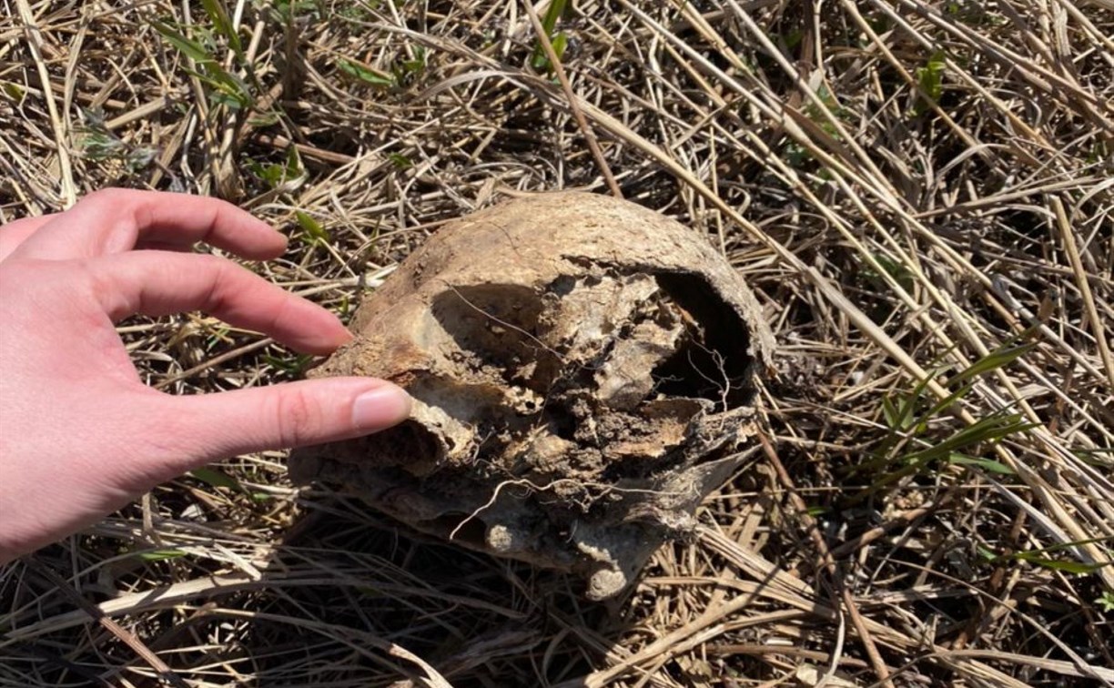 Жительницы Углегорска нашли на кладбище человеческий череп
