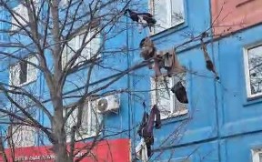 Общество