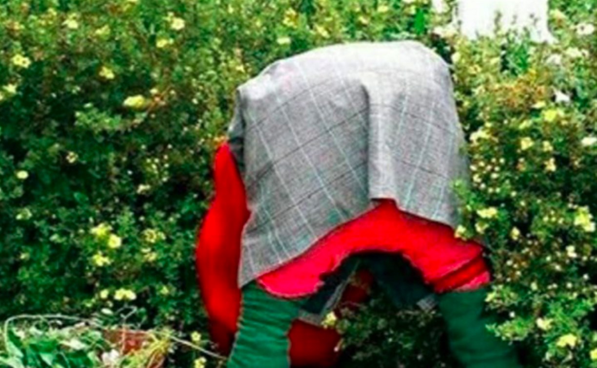 Поставила точку в споре: пенсионерку оштрафовали за показанные соседке по даче ягодицы
