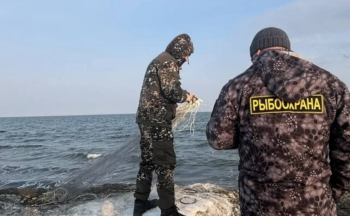 Инспекторам рыбоохраны в России дали больше полномочий 