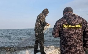 Общество
