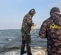 Инспекторам рыбоохраны в России дали больше полномочий 