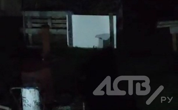 Сломал забор, исследовал территорию: в СНТ в Пригородном вновь пришел медведь