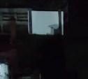 Сломал забор, исследовал территорию: в СНТ в Пригородном вновь пришел медведь