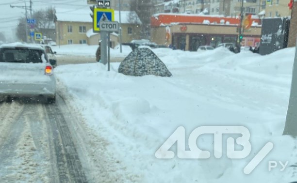 "Зубарь пошёл!": появившаяся на городской улице рыбацкая палатка удивила южносахалинцев