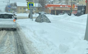 Общество