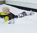 Метель продолжится на Сахалине: синоптики озвучили прогноз погоды на 29 января