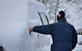 Общество