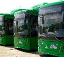 В Южно-Сахалинске в ноябре появится новый сервис "автобус по требованию"
