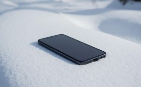 Происшествия