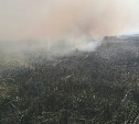 Опубликованы кадры с места тушения пожара на берегу моря в Анивском районе