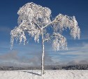 По ощущениям до -42: прогноз погоды в Сахалинской области на 22 декабря