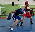 В Томари стартовал боксерский турнир памяти Виктора Золина