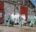 Последствия вспышки африканской чумы «ликвидировали» в Южно-Сахалинске (ФОТО)