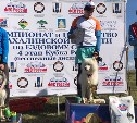 На Сахалине завершились чемпионат и первенство по ездовому спорту