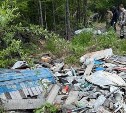 В лесах Корсаковского района нашли несанкционированную свалку с автомобильными шинами