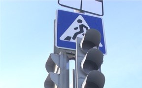 Общество